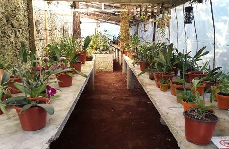 Museo de La Orquídea