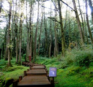 Chinan Forest Recreation Area