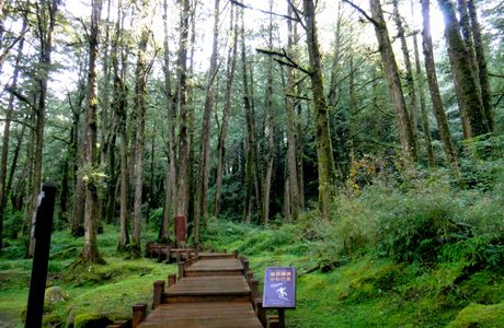 Chinan Forest Recreation Area