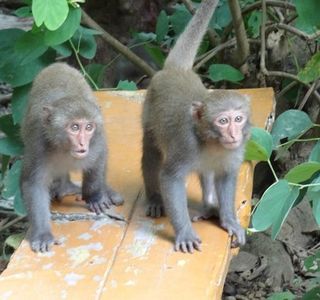 Shoushan Guojia Natural Park