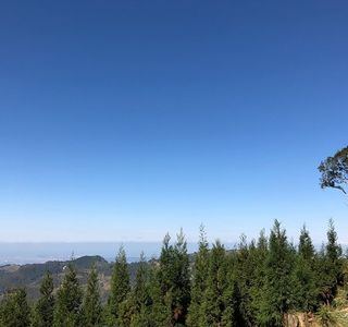Luoshan Forest Trail