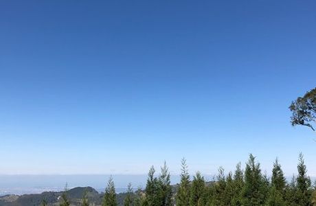 Luoshan Forest Trail