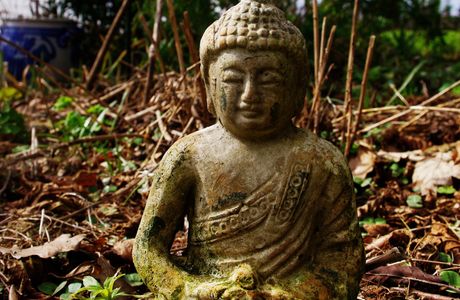 Buddha World Natural Retreat