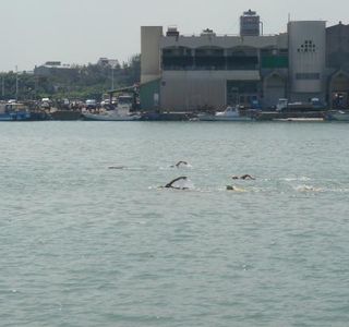 Nanliao Port