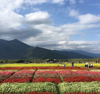 Danongdafu Forest Park