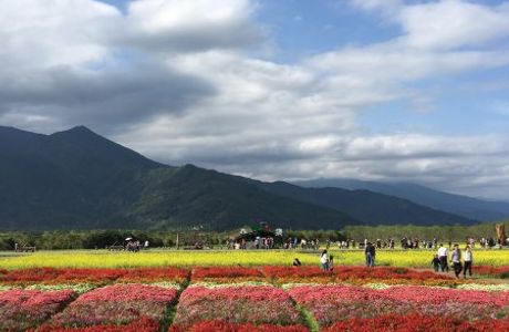 Danongdafu Forest Park