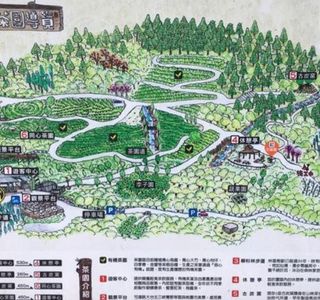 Xiong Kong Tea Plantation