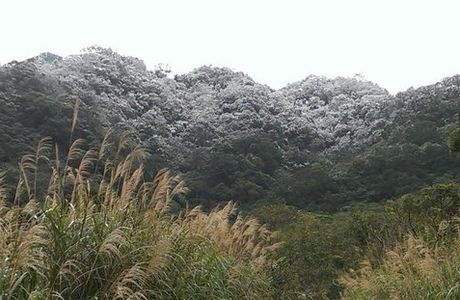 Er Ba Zi Botanic Garden