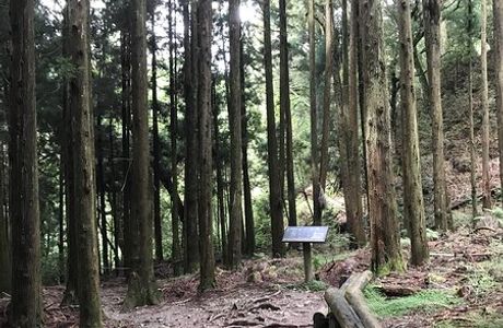 Guanwu Forest Recreation Area