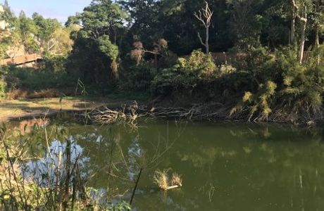 Tongjing Forest Trail