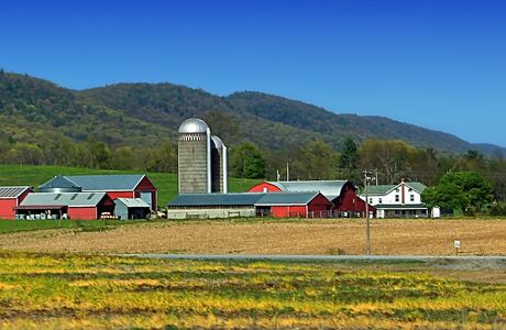 Circle Mountain Farm