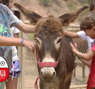 Granja d'Aventura Park