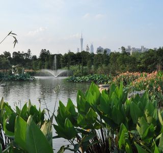 Hanbao Wetlands