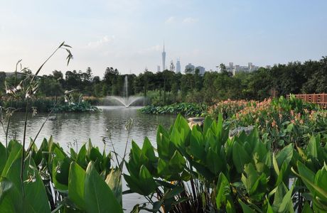 Hanbao Wetlands
