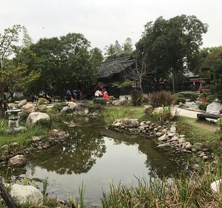Alishan Linye Village & Huiyisenghuo Village