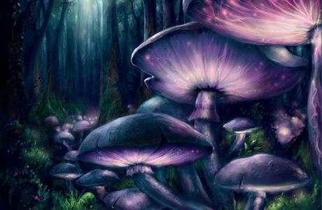 Magical Mushrooms Tribe