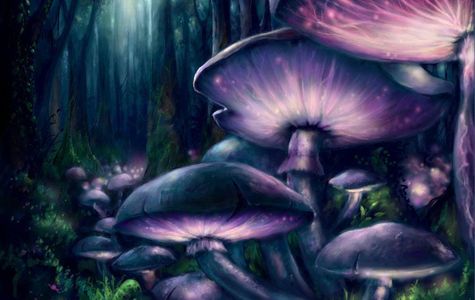 Magical Mushrooms Tribe 1