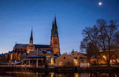 Uppsala Domkyrka