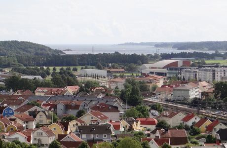 Statyn ''Livets Träd''
