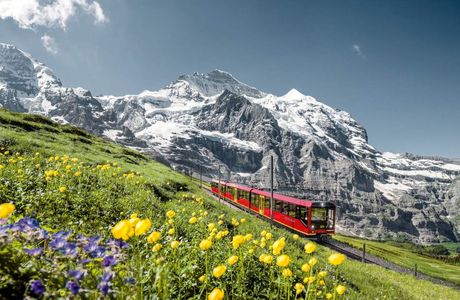 Jungfrau Railways