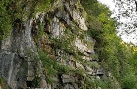 Rothenfluh Ruins