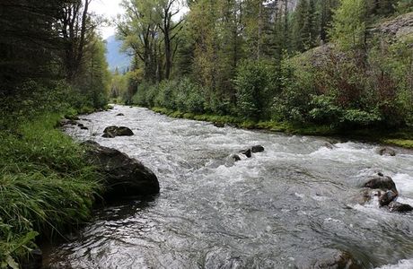 San Miguel River South Fork Preserve