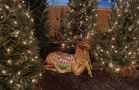 Winter Wonderfest