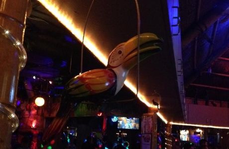 Toucans Tiki Lounge
