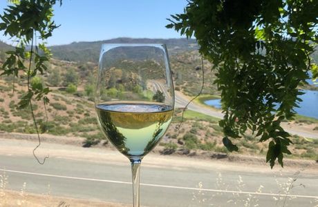 Langtry Estate & Vineyards