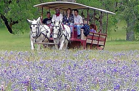 Eleven Roses Ranch