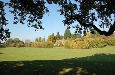 Barnwood Arboretum & Park