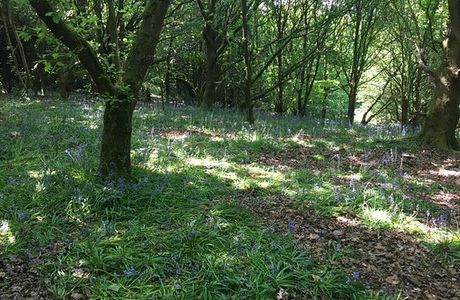 Belper Park Local Nature Reserve