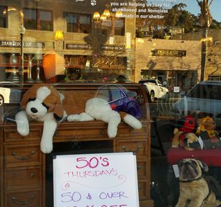 SPARC Second Chance Store