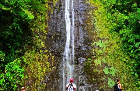 Manoa Falls