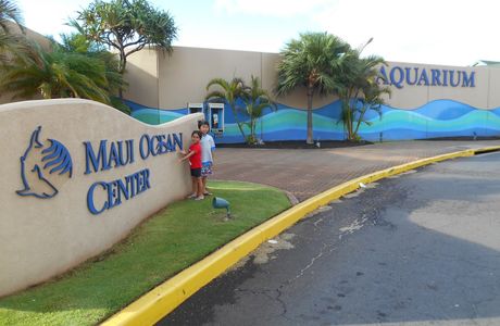 Maui No Ka Oi Taxi Services
