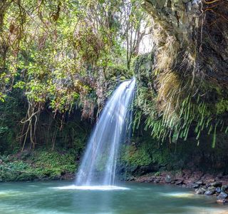 Twin Falls Maui
