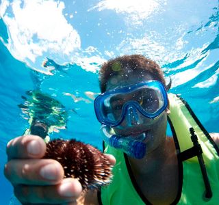 Waikiki Snorkel Rentals