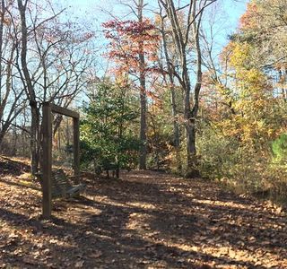 Cupid Fall Park