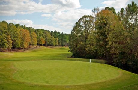 The Frog Golf Course