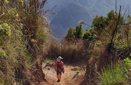 Kukui Trail