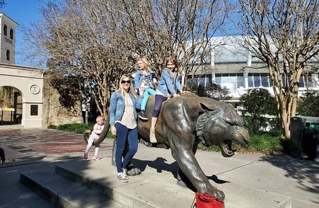 Mike the Tiger's Habitat