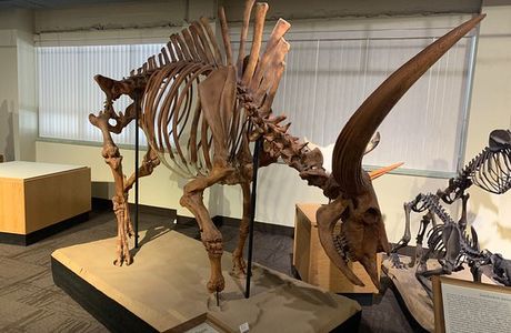 Idaho Museum of Natural History