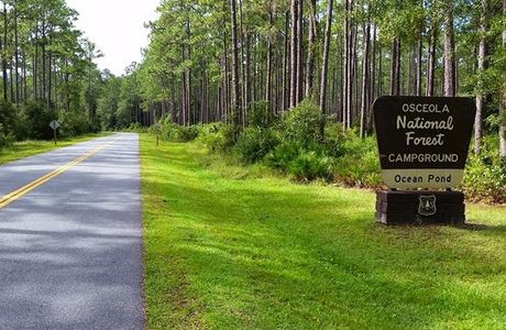 Osceola National Forest