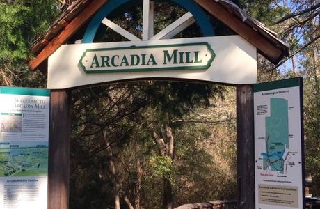 Arcadia Mill Archaeological Site