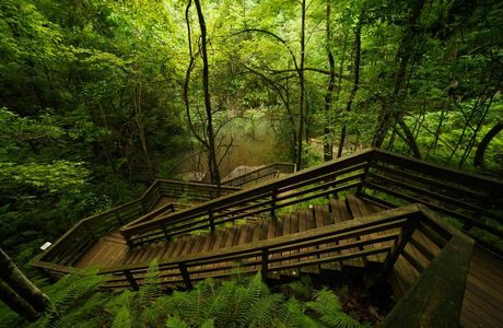 Devil's Millhopper Geological State Park