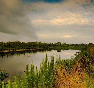 Paynes Prairie