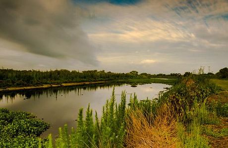 Paynes Prairie