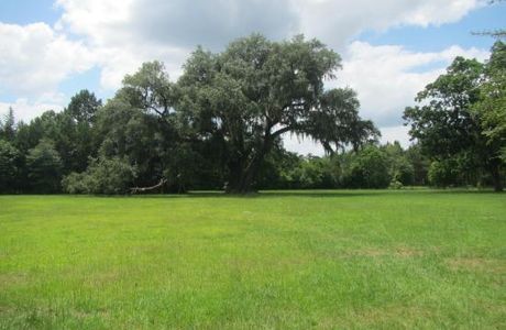 Cellon Oak Park