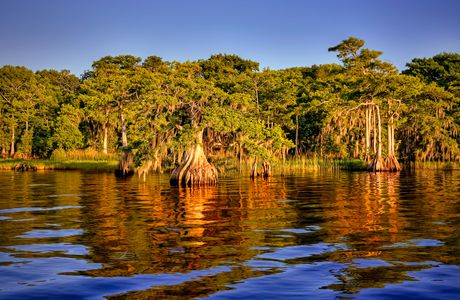 Blue Cypress Lake
