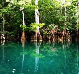 Morrison Springs